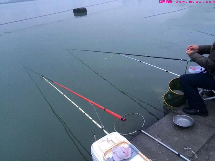 冬季鲢鳙难钓吗？实战经验让我打破了这个偏见