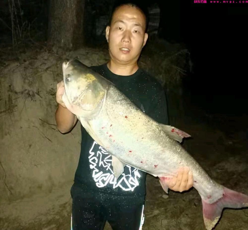 浮漂上下晃动却钓不到鱼,换细线小钩还不行,其实是它来闹窝了!(图1) 浮漂上下晃动却钓不到鱼,换细线小钩还不行,其实是它来闹窝了!(图1)