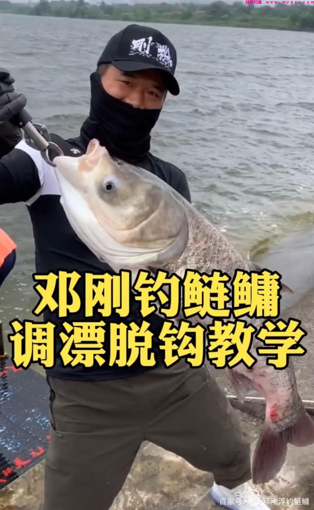 浮钓鲢鳙教学(图1)