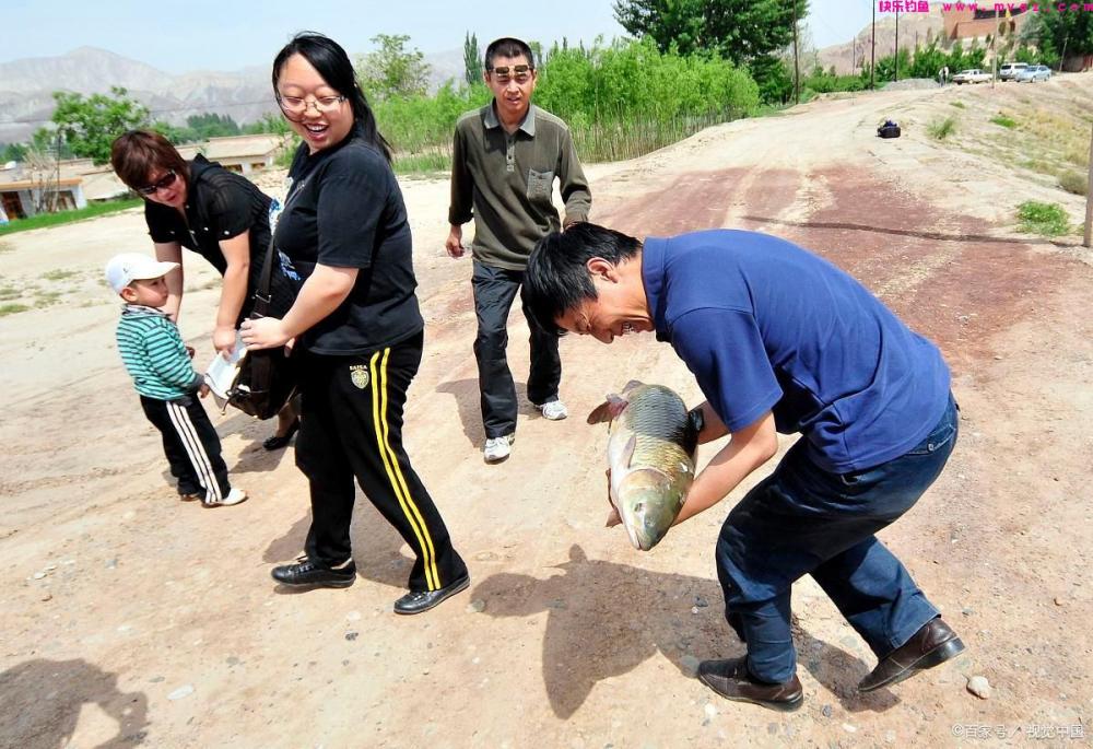 夏季钓草鱼和鲢鳙怎么钓？值得学习(图5)