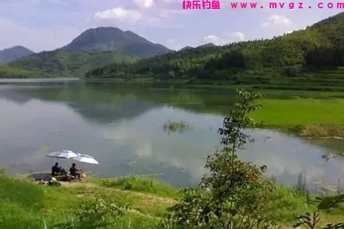 水库钓鲢鳙，不能错过的4种钓位！（推荐）(图1)