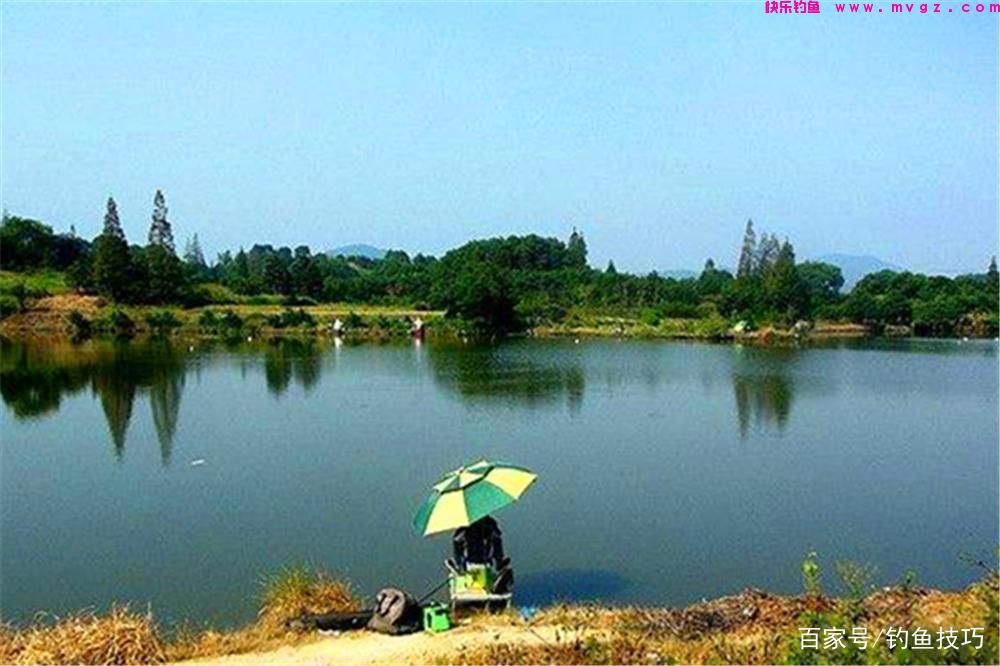盛夏钓鲢鳙，选择钓位的4个技巧，鲢鳙无鱼道，钓位可以这样选！(图4)