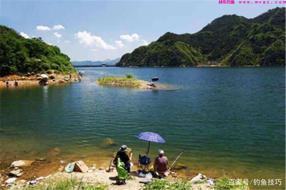盛夏钓鲢鳙，选择钓位的4个技巧，鲢鳙无鱼道，钓位可以这样选！(图5)