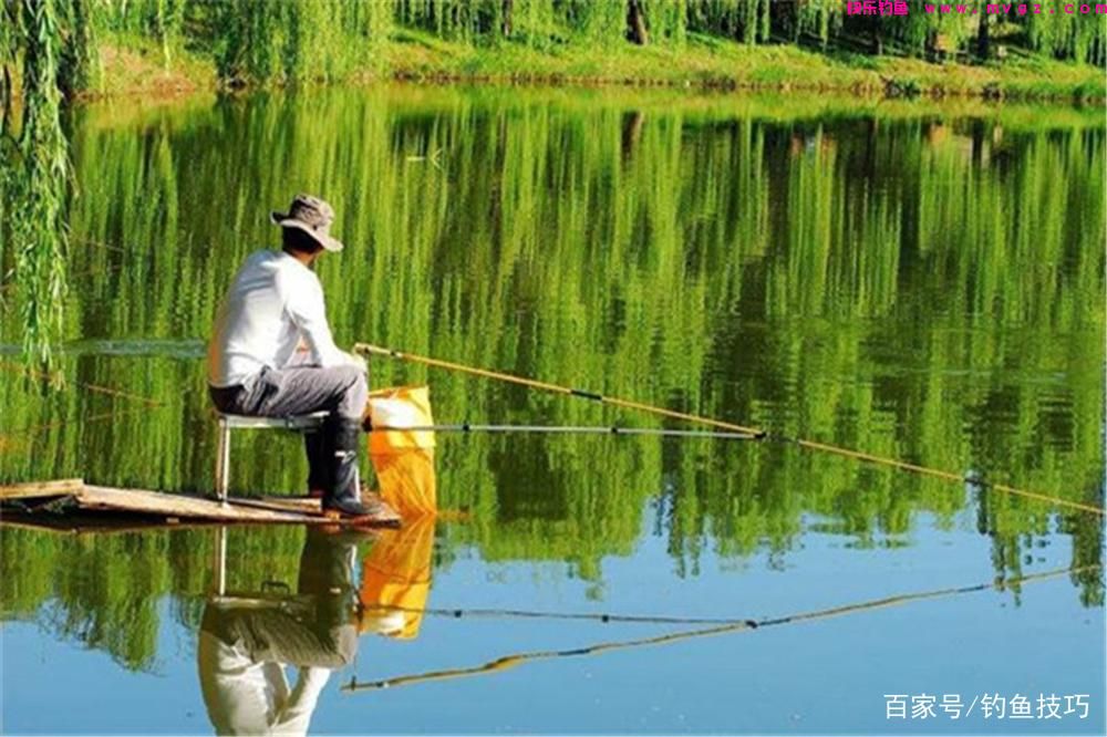 盛夏钓鲢鳙，选择钓位的4个技巧，鲢鳙无鱼道，钓位可以这样选！(图3)