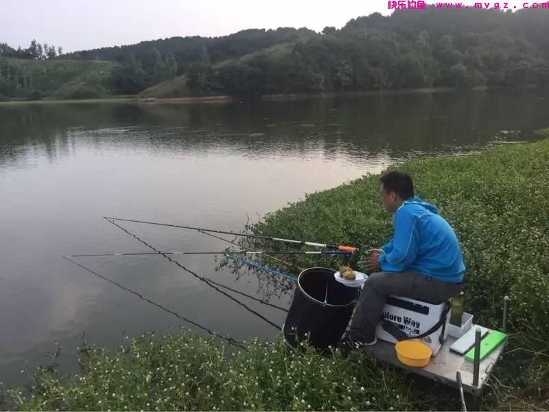 都说鲢鳙鱼傻难钓，学会三个钓鱼小技巧，水库鲢鳙不够钓(图5)