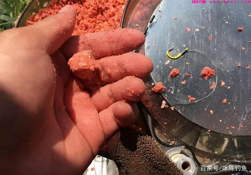 钓鲢鳙,记住这6步,轻松学会“正确”钓鲢鳙,对新手钓友很有用(图4) 钓鲢鳙,记住这6步,轻松学会“正确”钓鲢鳙,对新手钓友很有用(图4)