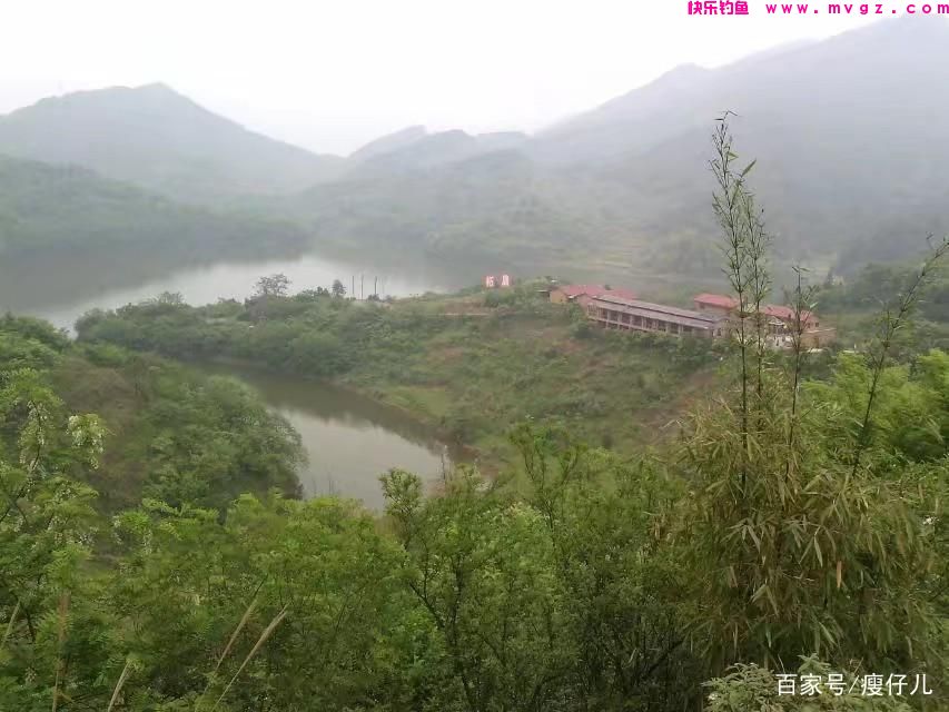 学浮钓鲢鳙，好轻松爆护(图5)