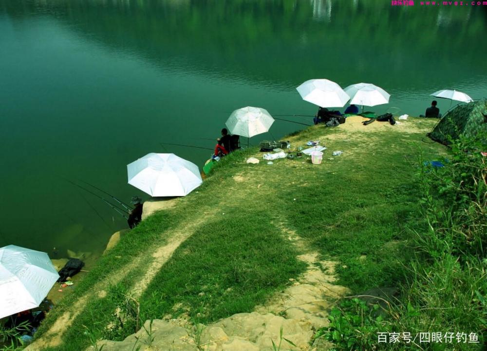都说中午难钓鱼，三招教你破僵局(图1)