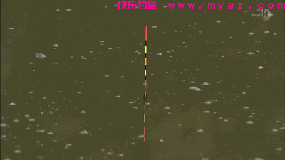 钓鲢鳙鱼我只用这三招，多一招我都懒得用，因为我会用鱼获证明(图7)