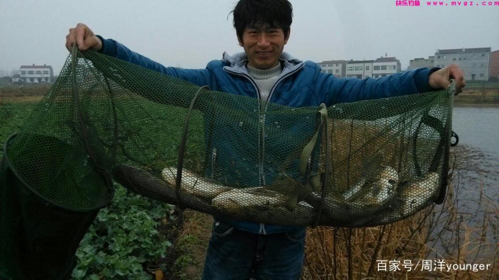喜欢钓鲢鳙的看过来(图4)