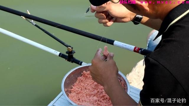 夏天野钓鲢鳙全攻略，大鱼入护很轻松(图3)
