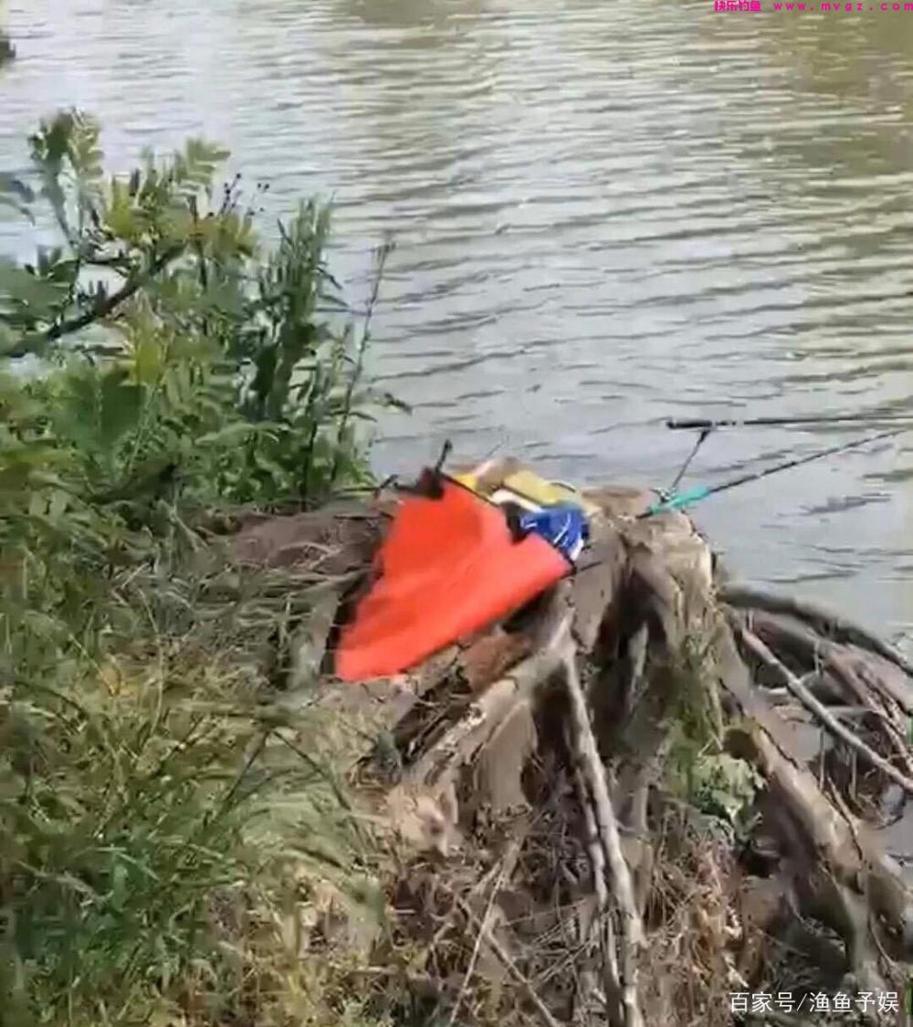 浮钓鲢鳙的这些技巧,把握住这些你也可以渔