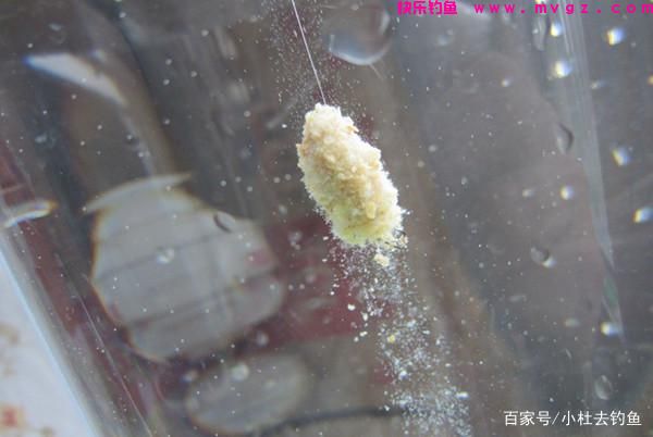 钓鲢鳙鱼注意好这些细节，只要掌握好方法，实际操作不会差(图2)