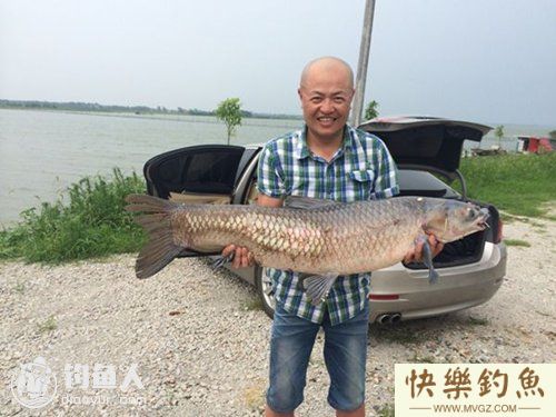 青鱼怎么钓之六种技巧来介绍(图1)