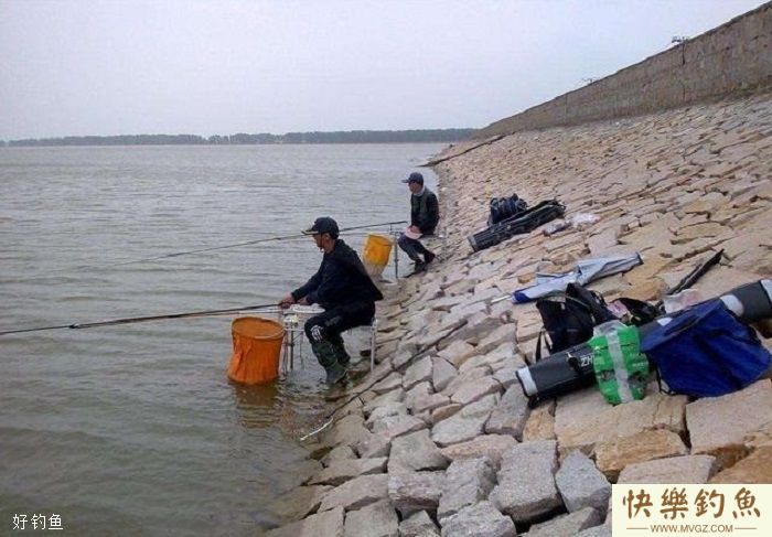 钓罗非鱼必备的钓竿、钓组、饵料、浮漂的配置方法(图2)