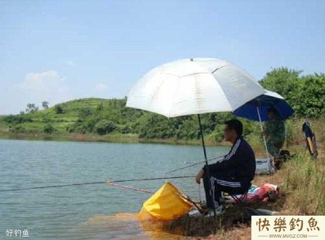 夏季高温天气水库钓草鱼的4个技巧(图1)