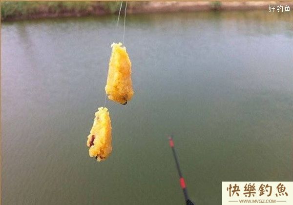 对付小罗非鱼闹钩的几个应对方法(图2)