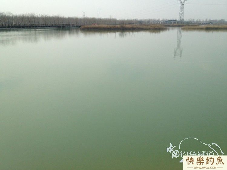 早春闲钓 擒获江鳊入护[钓鱼晒黑](图2)