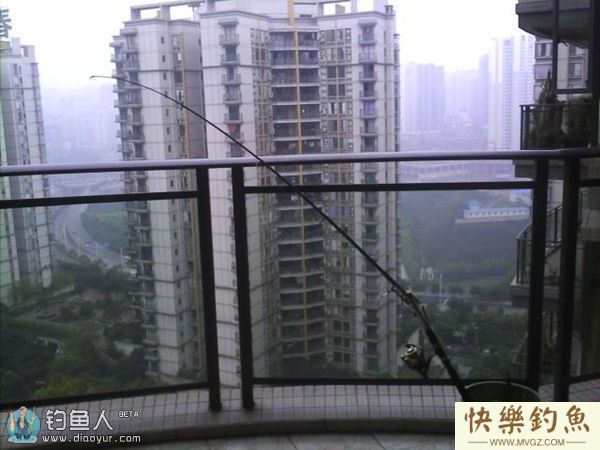 浅谈弹簧杆玉米粒钓草、鲤、鳊鱼的体会(图5)
