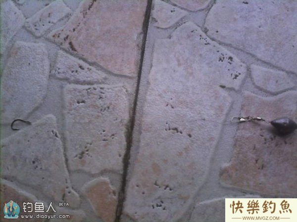 浅谈弹簧杆玉米粒钓草、鲤、鳊鱼的体会(图7)