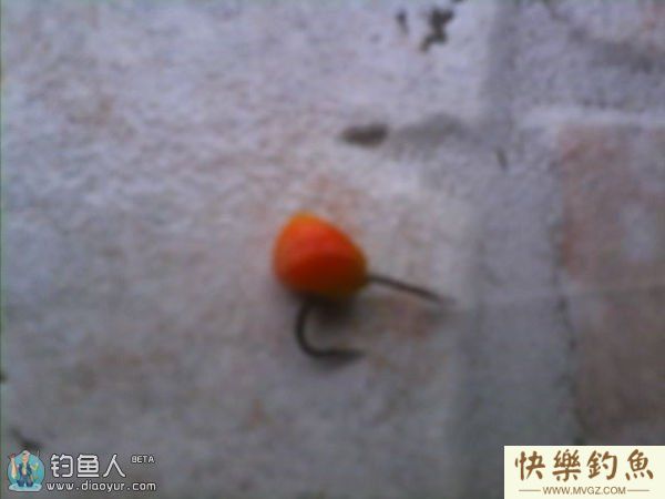 浅谈弹簧杆玉米粒钓草、鲤、鳊鱼的体会(图9)