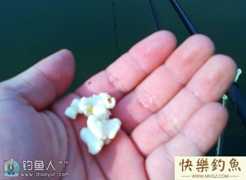 爆米花钓鳊鱼攻略-附图无钩调漂法(图2)