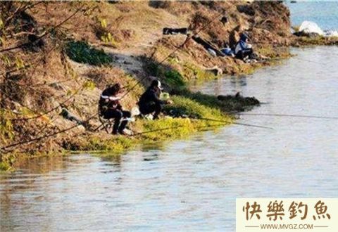 江河水库钓鲶鱼的一些技巧与注意事项(图2)