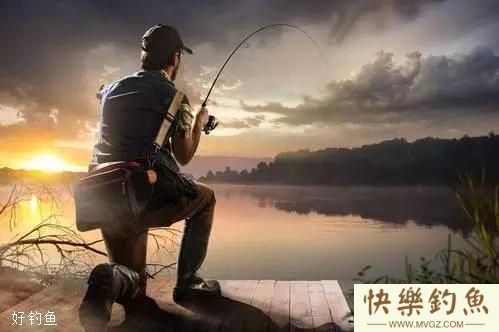江河水库钓鲶鱼的一些技巧与注意事项(图1)