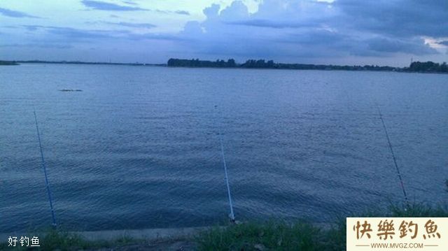 鲶鱼的海竿、车竿、插竿钓法(图2)