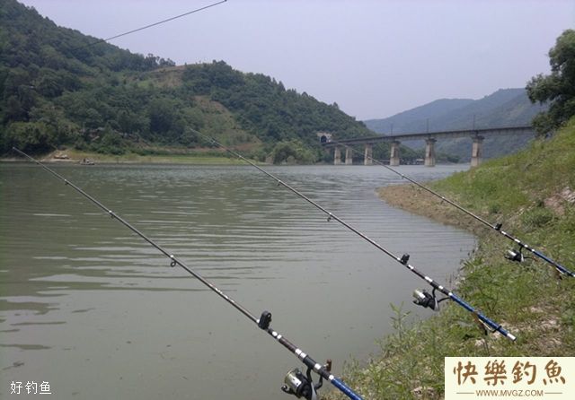 鲶鱼的海竿、车竿、插竿钓法(图3)