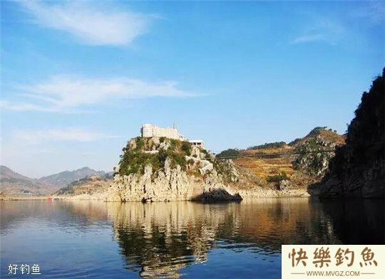 夏钓钓鲶鱼应该用什么饵料与垂钓时机的掌握(图1) 夏钓钓鲶鱼应该用什么饵料与垂钓时机的掌握(图1)