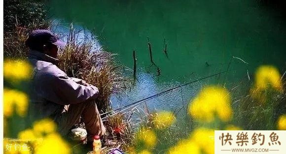春季钓鱼3忌3宜及钓点选择的奥秘(图1)