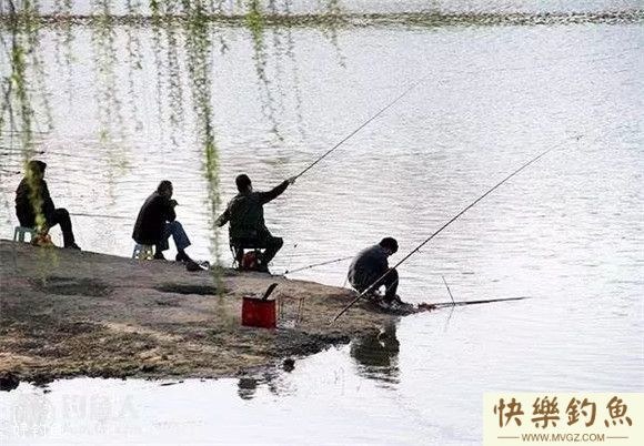 春季钓鱼3忌3宜及钓点选择的奥秘(图2)