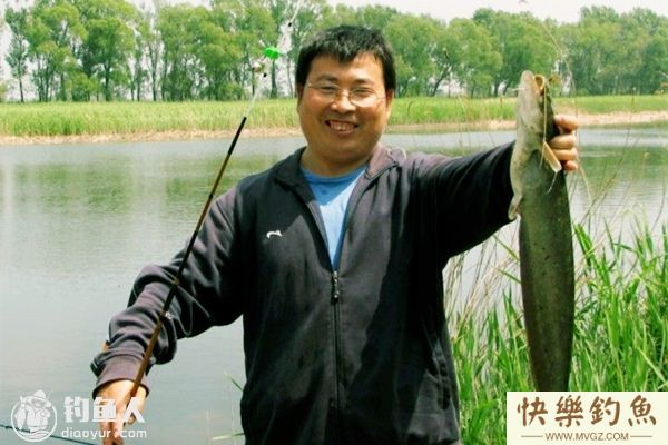 夏天钓鲶鱼的选位、用饵及钓法选择(图1) 夏天钓鲶鱼的选位、用饵及钓法选择(图1)