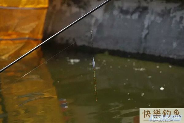 高手野外钓鱼调漂经验分享(图1)