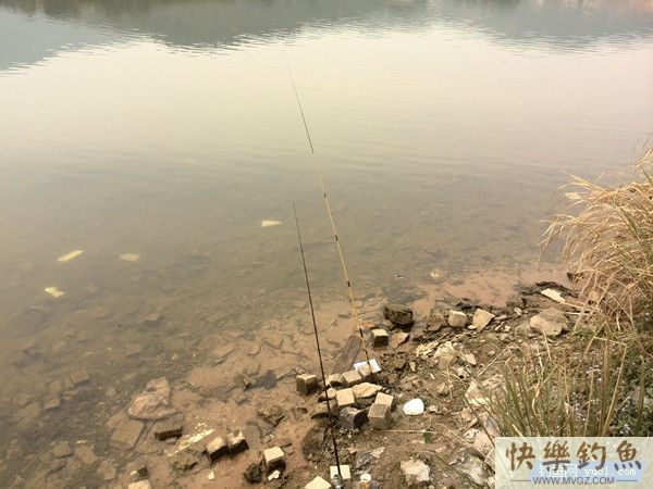 冬季溪流野钓鲫鱼的技巧分享(图1)