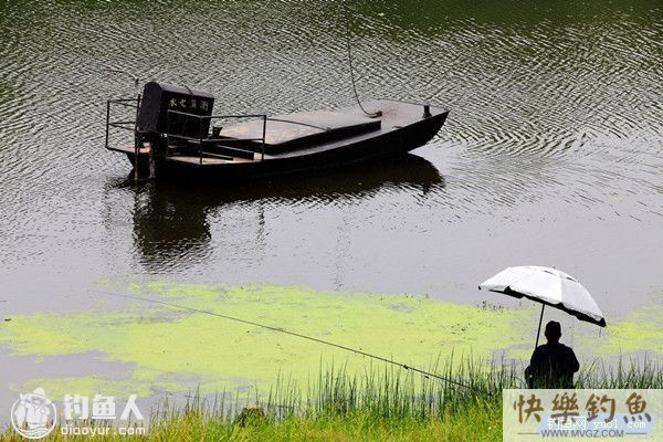 野外垂钓的钓具选择经验之我见(图1)