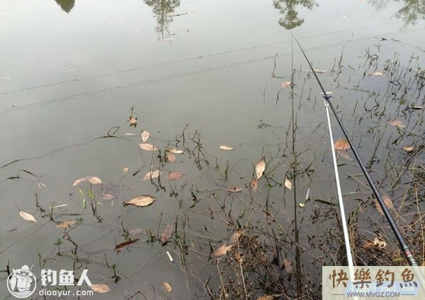 冬季沟渠小河野钓的四个技巧分享(图1)