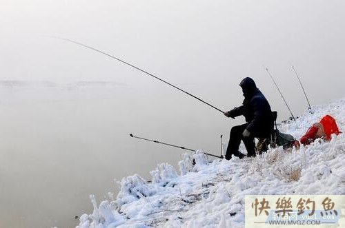 高手分享冬季野钓鲫鱼实用技巧(图2)