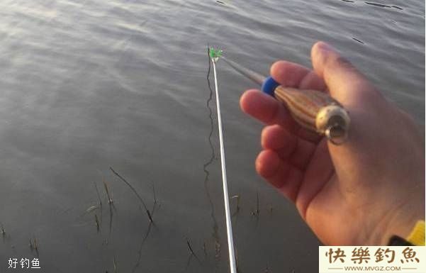 秋末初冬鱼口弱,避免空军的逗钓技巧(图2) 秋末初冬鱼口弱,避免空军的逗钓技巧(图2)