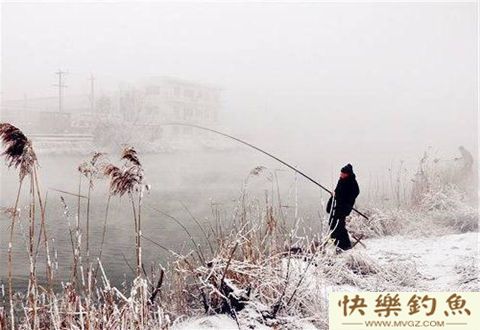 冬季不同天气，应该怎样钓鲫鱼？究竟有何影响？
