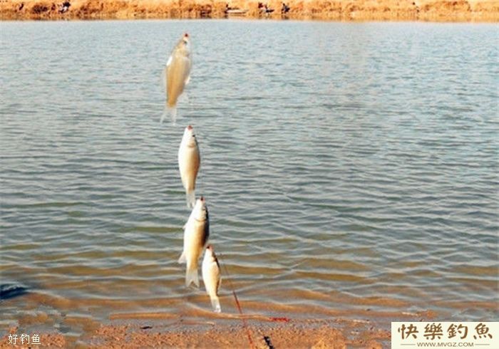 为什么冬季晴天也不好钓鱼？(图2)