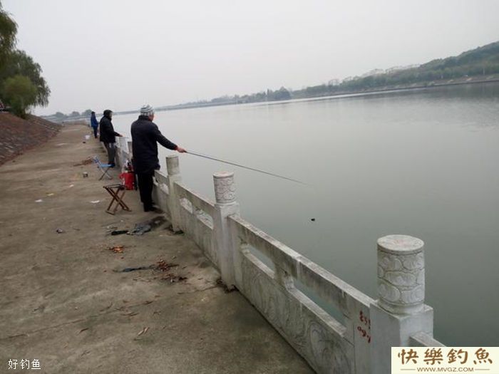 冬季野外钓鱼到底要不要加拉丝粉？(图1)