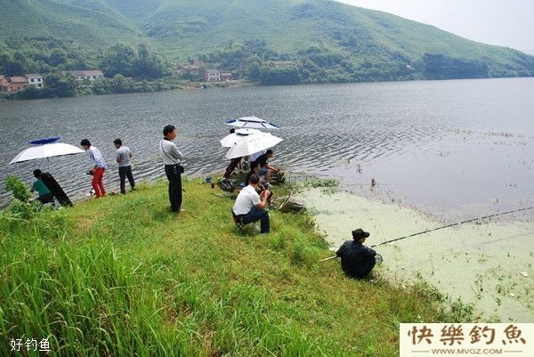 春钓钓位的选择技巧(图1)