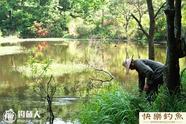 民间草把做窝钓草、鳊鱼技巧(图1)