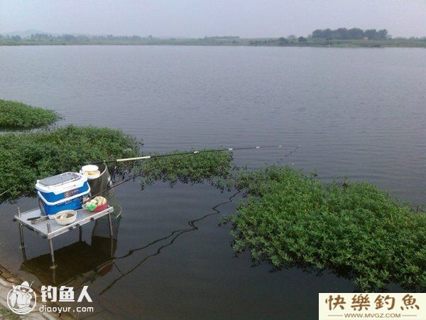 春季鳊鱼的钓点、钓具选择与施钓技巧(图1)