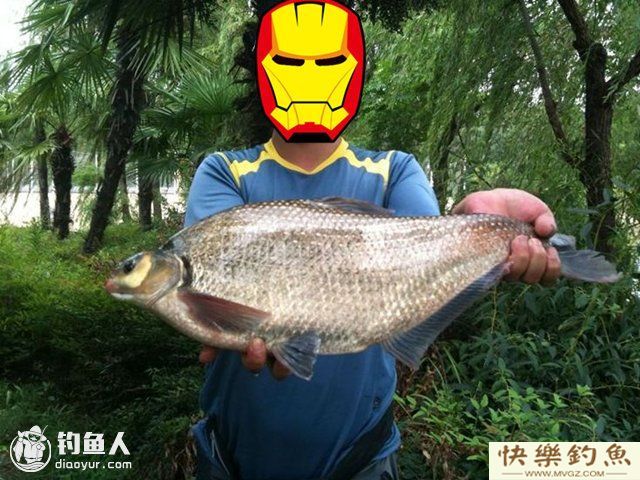 浮钓鳊鱼的技巧(饵料钓位选择等)(图1) 浮钓鳊鱼的技巧(饵料钓位选择等)(图1)