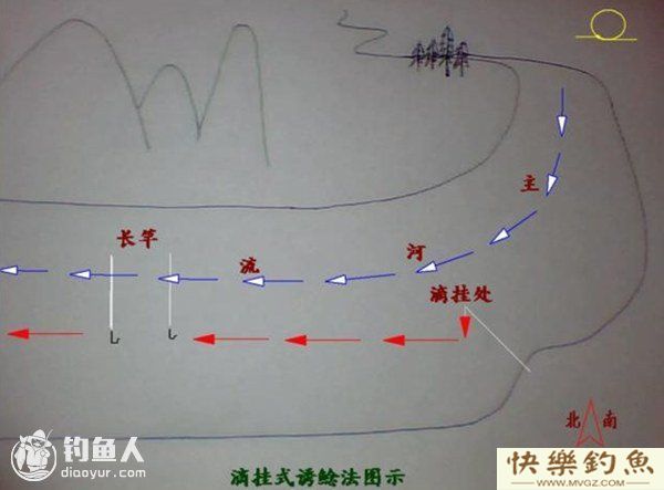 滴挂式高效诱钓鲶鱼法介绍(图1)