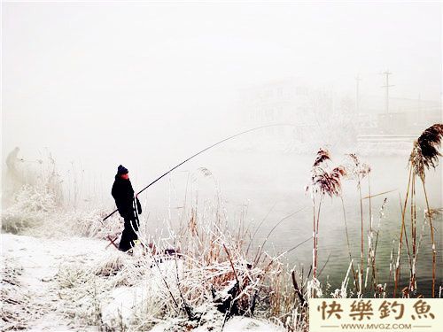 从钓场到钓技冬季野钓全攻略(图3)