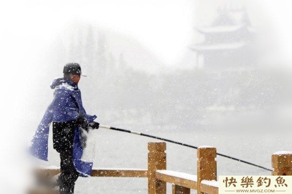 初冬野钓鲫鱼的钓饵搭配和钓具钓法技巧(图3)